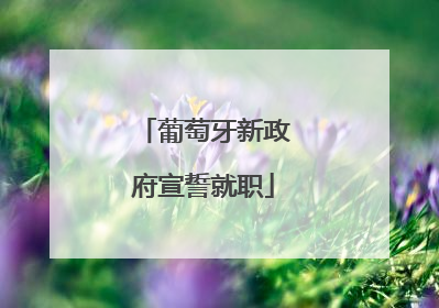 葡萄牙新政府宣誓就职