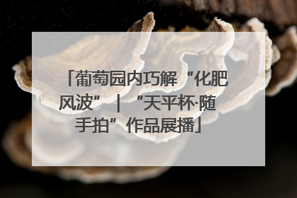 葡萄园内巧解“化肥风波”｜“天平杯·随手拍”作品展播