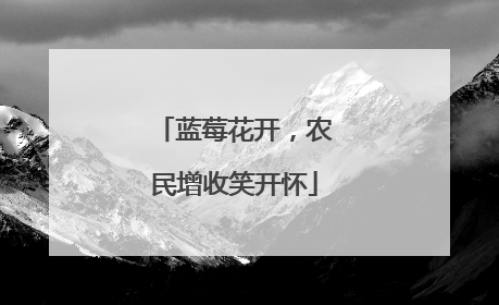 蓝莓花开，农民增收笑开怀