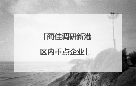 蔺佳调研新港区内重点企业