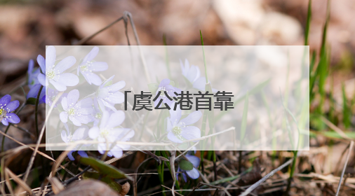 虞公港首靠万吨货轮