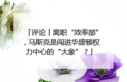 评论丨离职“效率部”，马斯克是闯进华盛顿权力中心的“大象”？