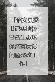 诏安县委书记实地督导省生态环保督察反馈问题整改工作