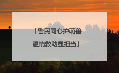 警民同心护萌兽 温情救助显担当