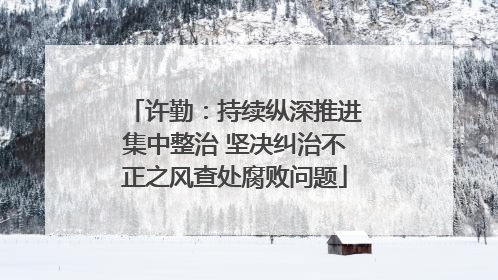 许勤：持续纵深推进集中整治 坚决纠治不正之风查处腐败问题