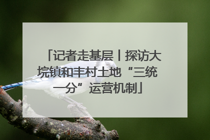 记者走基层丨探访大垸镇和丰村土地“三统一分”运营机制