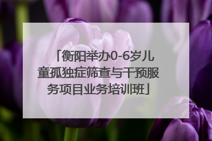 衡阳举办0-6岁儿童孤独症筛查与干预服务项目业务培训班