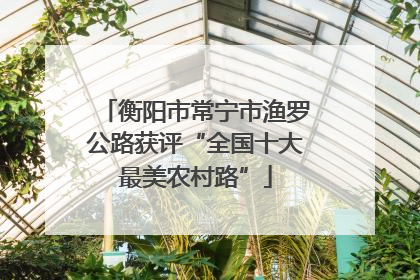 衡阳市常宁市渔罗公路获评“全国十大最美农村路”