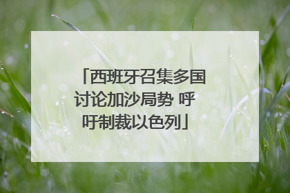 西班牙召集多国讨论加沙局势 呼吁制裁以色列