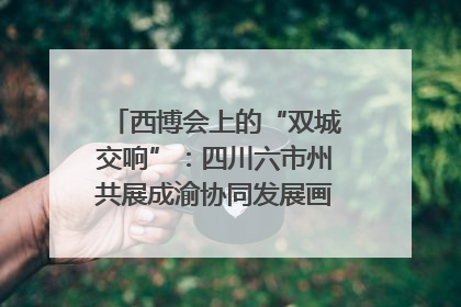 西博会上的“双城交响”：四川六市州共展成渝协同发展画卷｜西博视界