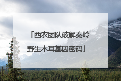 西农团队破解秦岭野生木耳基因密码