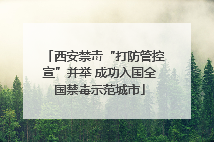 西安禁毒“打防管控宣”并举 成功入围全国禁毒示范城市