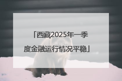 西藏2025年一季度金融运行情况平稳