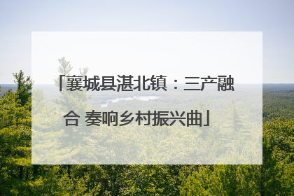 襄城县湛北镇：三产融合 奏响乡村振兴曲