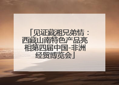见证藏湘兄弟情：西藏山南特色产品亮相第四届中国-非洲经贸博览会