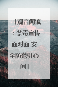 观音阁镇：禁毒宣传面对面 安全防范驻心间