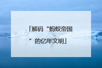 解码“蚂蚁帝国”的亿年文明