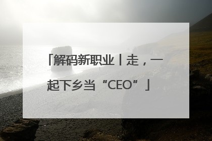 解码新职业丨走，一起下乡当“CEO”