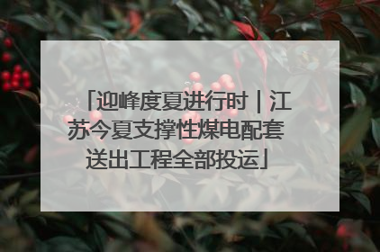 迎峰度夏进行时｜江苏今夏支撑性煤电配套送出工程全部投运