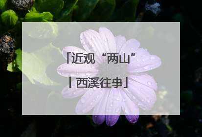 近观“两山”丨西溪往事