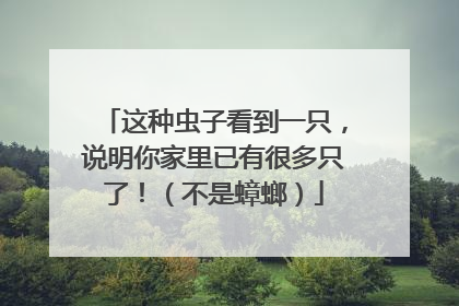 这种虫子看到一只，说明你家里已有很多只了！（不是蟑螂）