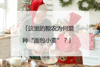 这里的粮农为何爱种“面包小麦”？