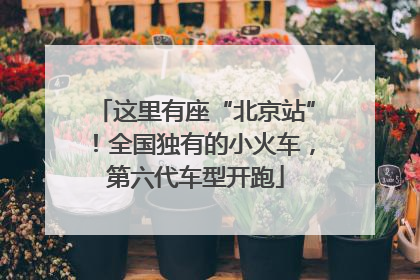 这里有座“北京站”！全国独有的小火车，第六代车型开跑