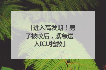 进入高发期！男子被咬后，紧急送入ICU抢救