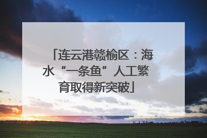 连云港赣榆区：海水“一条鱼”人工繁育取得新突破