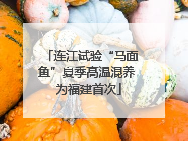 连江试验“马面鱼”夏季高温混养 为福建首次