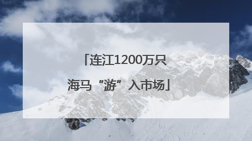 连江1200万只海马“游”入市场