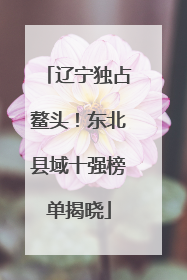 辽宁独占鳌头！东北县域十强榜单揭晓