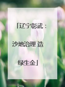 辽宁彰武：沙地治理 造绿生金