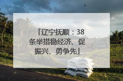 辽宁抚顺：38条举措稳经济、促振兴、勇争先