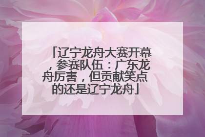 辽宁龙舟大赛开幕,参赛队伍:广东龙舟厉害,但贡献笑点的还是辽宁龙舟