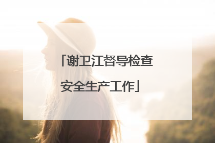 谢卫江督导检查安全生产工作