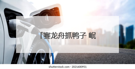 赛龙舟抓鸭子 岷江青神段千年东坡婚俗“活态”重现