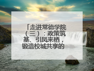 走进常德学院（三）：政策筑基、引凤来栖，锻造校城共享的“双师铁军”