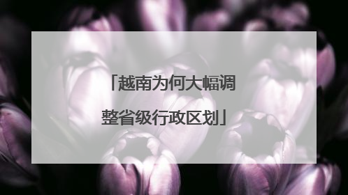 越南为何大幅调整省级行政区划