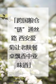 跨国粮仓“链”通丝路 西安爱菊让老陕餐桌飘香中亚味道