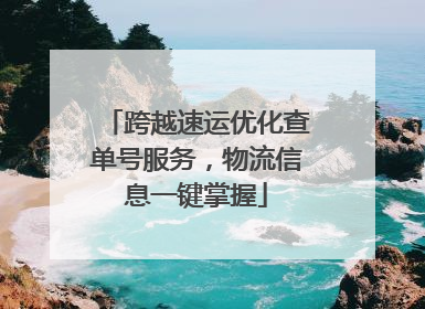 跨越速运优化查单号服务，物流信息一键掌握