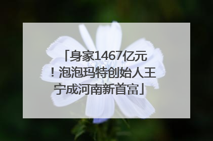 身家1467亿元！泡泡玛特创始人王宁成河南新首富