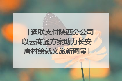 通联支付陕西分公司以云商通方案助力长安唐村绘就文旅新图景