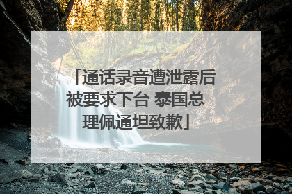 通话录音遭泄露后被要求下台 泰国总理佩通坦致歉