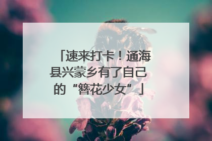 速来打卡！通海县兴蒙乡有了自己的“簪花少女”