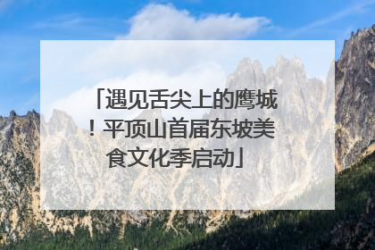 遇见舌尖上的鹰城！平顶山首届东坡美食文化季启动