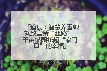 道县：智慧养蚕织就致富新“丝路” 千亩桑园托起“家门口”的幸福