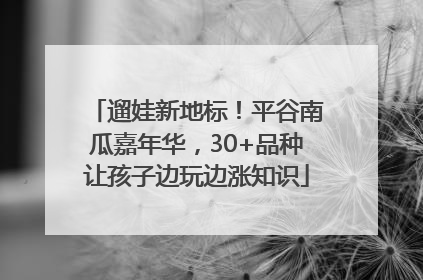遛娃新地标！平谷南瓜嘉年华，30+品种让孩子边玩边涨知识