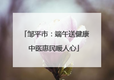 邹平市：端午送健康 中医惠民暖人心