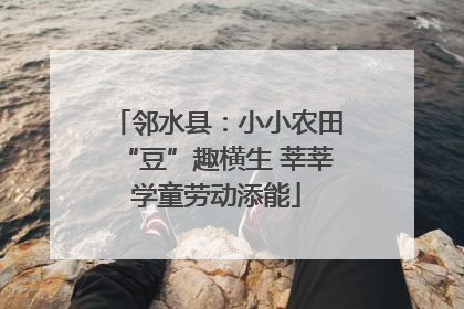 邻水县：小小农田“豆”趣横生 莘莘学童劳动添能